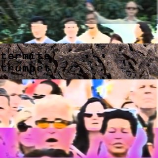 Stan K - Termite Trumpet